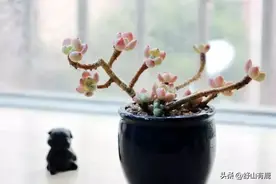 子孙后代，能不能得到“祖先”的保佑，要看这4个细节图片