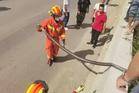 吓人！贵阳惊现3米多长眼镜王蛇！图片