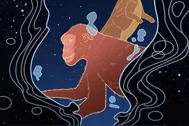 人是猴子变的，那猴子是啥变的，再往前又是啥？图片