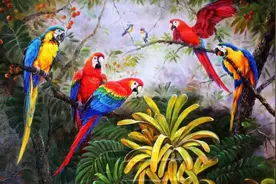 自然界中寿命“最长”和“最短”的鸟，你知道有关它们的故事吗？图片