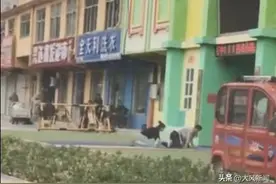 幼儿园设“陪爬日”，“家长陪幼儿爬进幼儿园”引热议；专家称即便初衷是好意但地点选错了，教育局称已调查图片