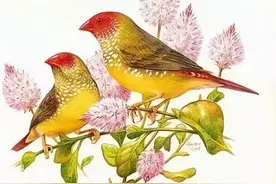 1，2，3，4，5，6，7，8，9，10 原来是这个意思！（精辟）图片