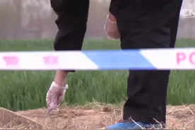 全员恶人，极限反杀，这起案件突破你的脑洞图片