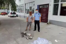 【百日行动】这种鸟捉不得！漯河公安查处一起非法猎捕野生动物案件图片