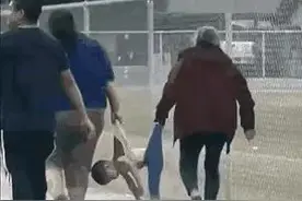 收猪与交猪图片