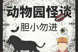 解谜怪谈：某市动物园规则怪谈（规则类恐怖故事）只有唯一解图片