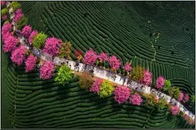 太壮观了！100个世界上最美的景色图片