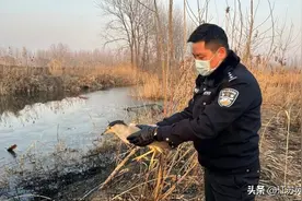 江苏连云港：民警竟在派出所养起了“宠物”图片