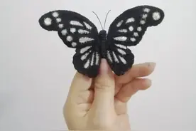 蝴蝶钩织图解图片