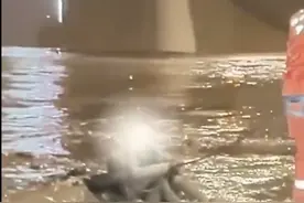 浙江温州 情侣吵架女子跳江陷入淤泥，越陷越深困在其中动弹不得图片