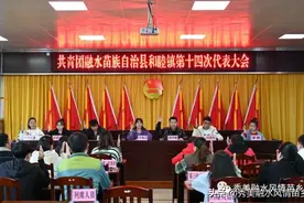 【广西县域改革】融水20个乡镇召开团代会 选优配强基层团组织力量图片