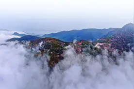村美业兴百姓富 —— 赤壁市官塘驿镇唱好乡村振兴“致富曲”图片