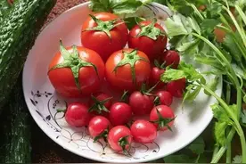 您知道吗？西红柿浇水要注意，否则这仨病害找上门图片