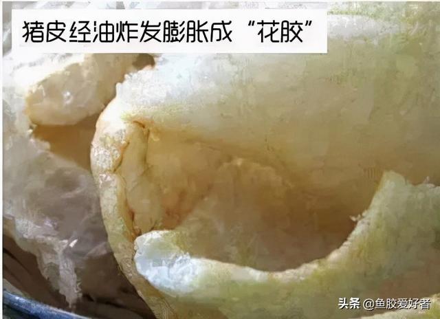 鱼胶炖的都烂了 2026年鱼胶炖的都烂了怎么回事