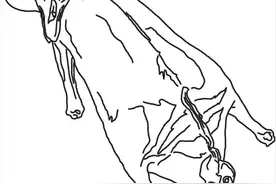 烹饪知识：烧与红烧的区别图片