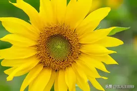 临潼吴凌镇图片