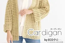 「玫瑰含嫣视频教学」文字版教程全部图解：夏季网眼花样开衫图片