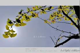 聊手机摄影1：说说手机三种照片分辨率，3:4，9:16，全屏的拍摄图片