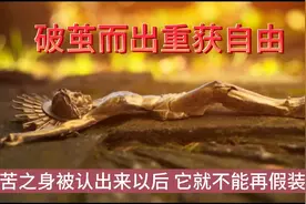 解读《新世界灵性的觉醒》破茧而出重获自由图片