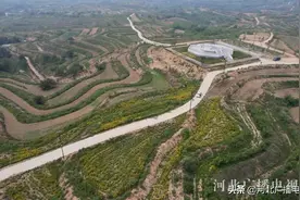 开幕前瞻 | 河北内丘：中药材全产业链集群式发展图片