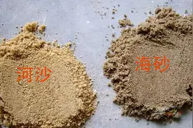 如何辨别海砂与河砂？砂石兄教这你六招图片
