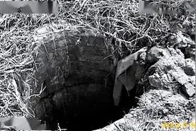 公元191年的一个清晨，甄宫的井中打捞起一具颈上系一小匣的女尸图片