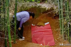 广西一男子去世，两日后妻子上坟祭拜，不料棺里传出声：放我出去图片