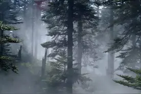 瘴气真的有那么厉害吗？为什么它会让人一闻就倒？图片