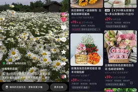 我在抖音教人养花，不拍段子，一个月卖掉7万枝小菊图片