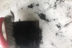 理发店剪掉的头发都干什么了？图片