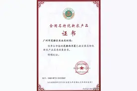 广州：“喝”山泉水的西洋菜，你吃过吗？图片