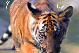 五月为期勤为径，“韶”途研学正当时图片