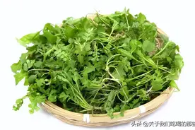 三月三，用它煮鸡蛋，85岁外婆的吃法就是好，很多人还不懂有啥用图片