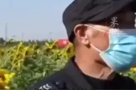 保安大叔怒怼踩踏向日葵游客，大叔：“长的越磕碜的越往里进”图片