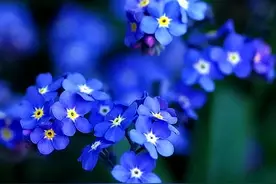 识人：吃过大苦的人，身上会有的特征图片