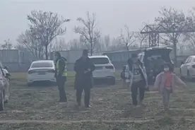 停车场设在麦地，麦苗被轧，官方已解决，破坏粮食的行为要不得图片