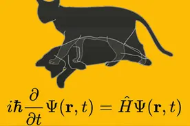 薛定谔的猫：物理学史上最怪诞的思想实验图片