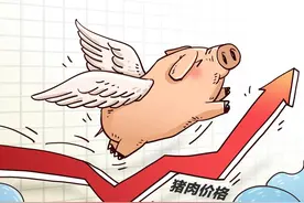 生猪价格上涨，搞二次育肥最赚钱，投机者越来越多，10月20日猪价图片