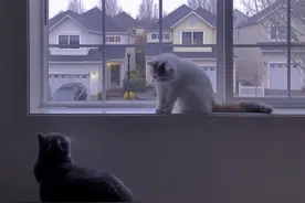 心情文案｜别听世俗的耳语，去看自己喜欢的风景图片