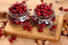 中国人不太熟悉的水果——蔓越莓图片