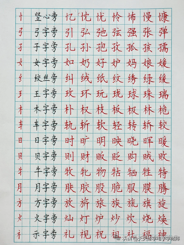 46个左偏旁（全），总该能写好字了吧？