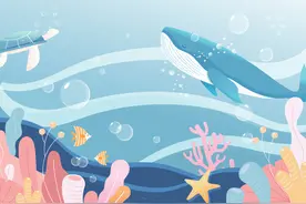 远洋捕捞科普｜看看你家餐桌上有哪些海鲜来自远洋捕捞图片