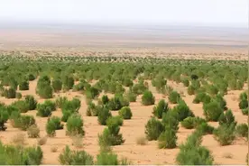 前人种树后人乘凉，绝不能让种树的人既辛苦又伤了心图片