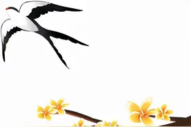 带您了解“花粉症”——春季过敏性鼻炎图片