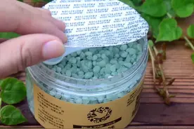 植物叶片发黄，首先从缺少这几种肥料方面考虑图片