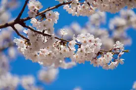 有一种缘分，叫命中注定的相遇图片