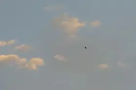 那些满是失望心寒的句子图片