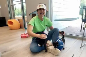 王虹老师18个月心路分享——我变得快乐啦图片