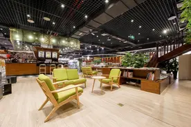 番茄小说高质量小说推荐（第四期）图片