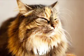 北京东城区简易楼腾退项目，看下有你家吗？图片